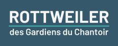 Rottweiler des Gardiens du Chantoir Rottweiler des Gardiens du Chantoir